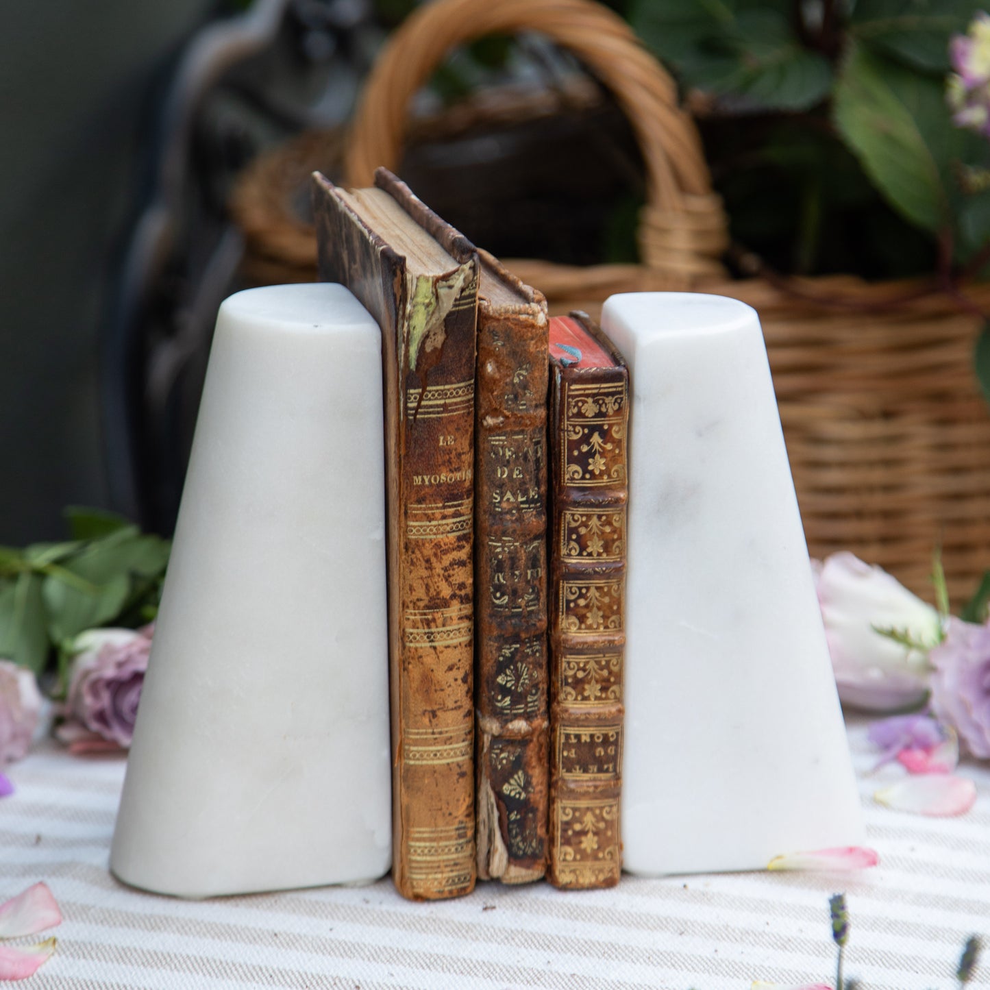 Set of Three French Antique Books