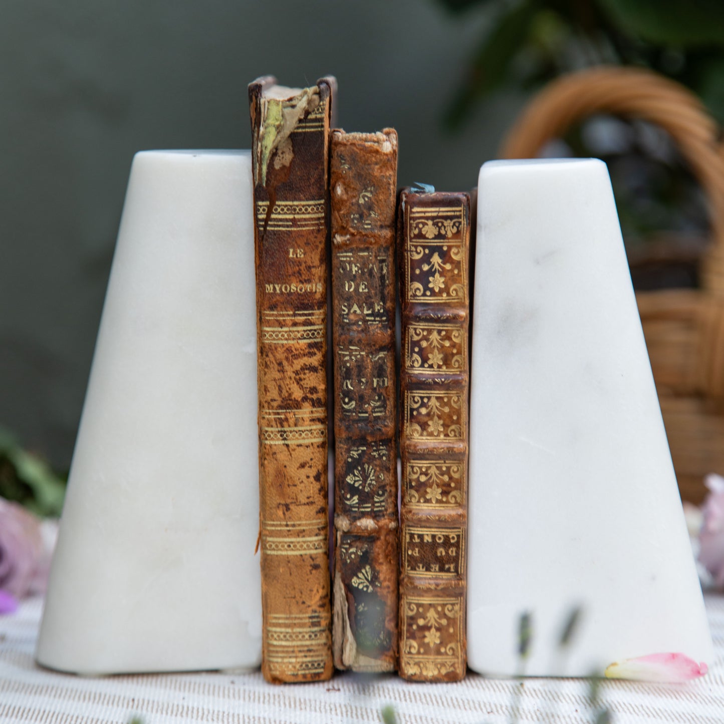 Set of Three French Antique Books