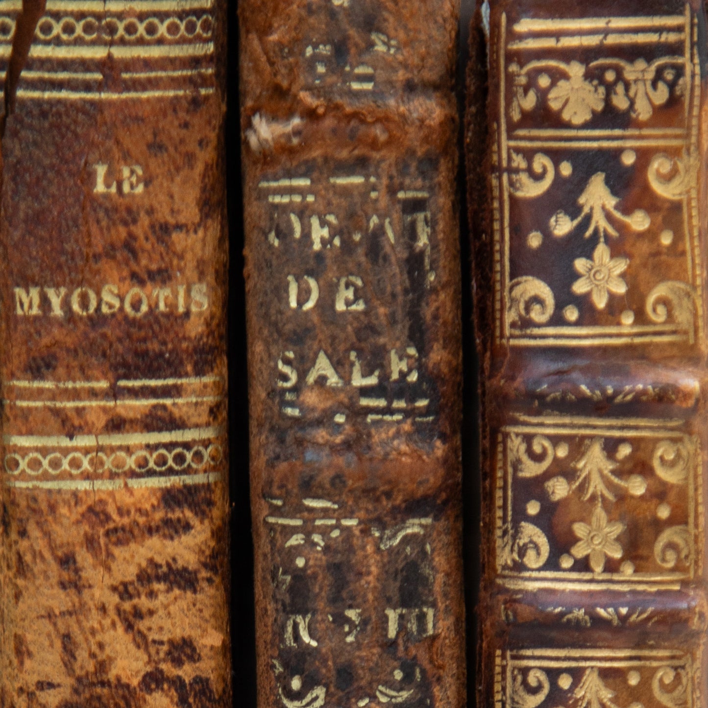 Set of Three French Antique Books
