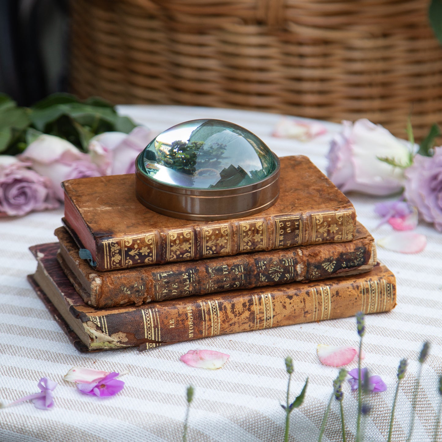 Set of Three French Antique Books