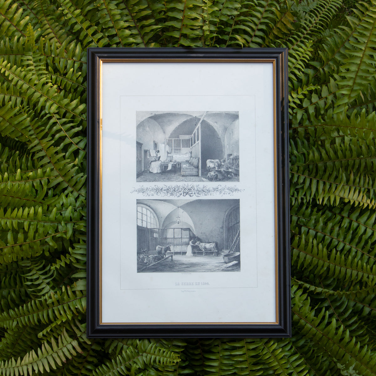Framed La Serre en 1844 Print
