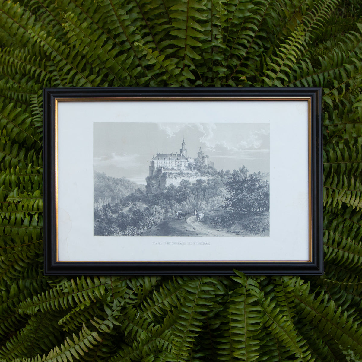 Framed Face Principale Du Chateau Print
