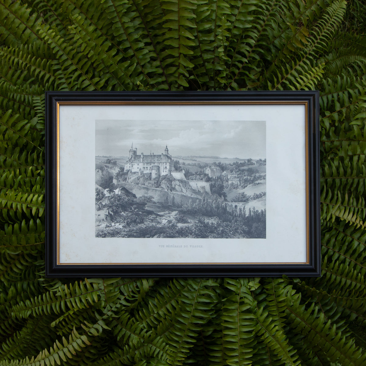 Framed Vue Générale De Veauce Print