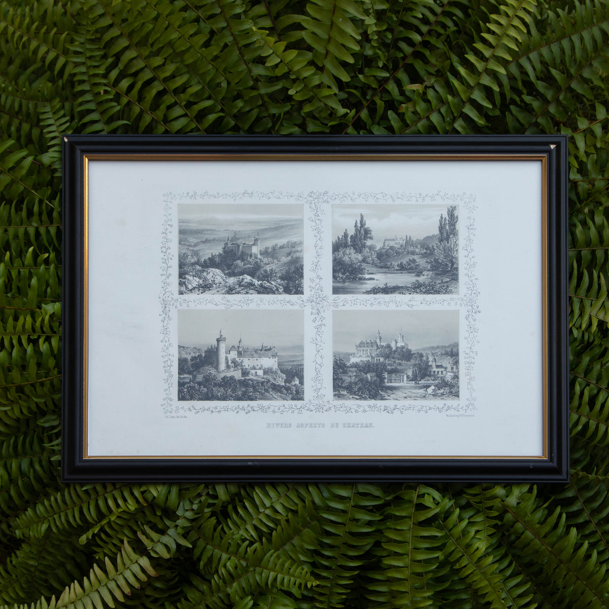 Framed Divers Aspects Du Chateau Print