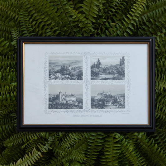 Framed Divers Aspects Du Chateau Print