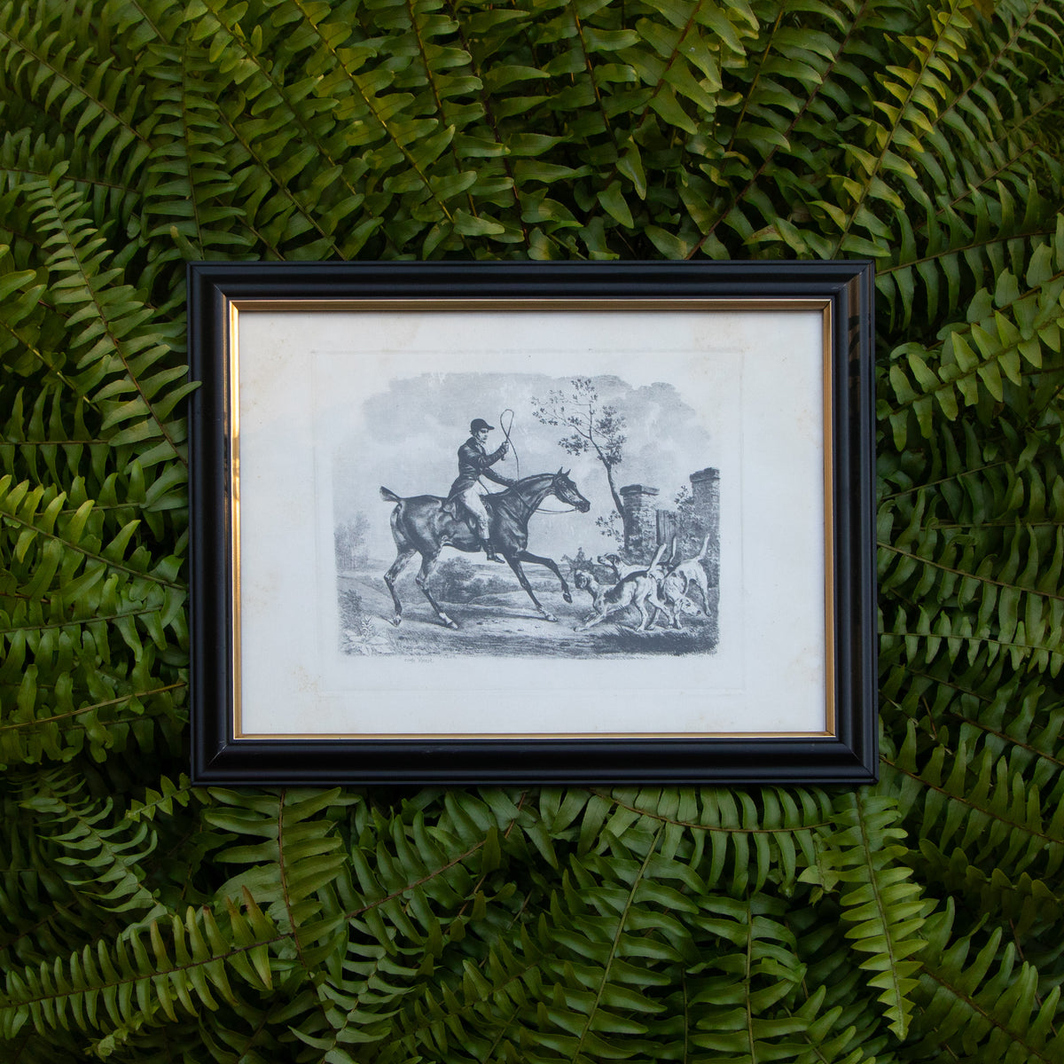 Framed Vintage Hunting Dogs Print