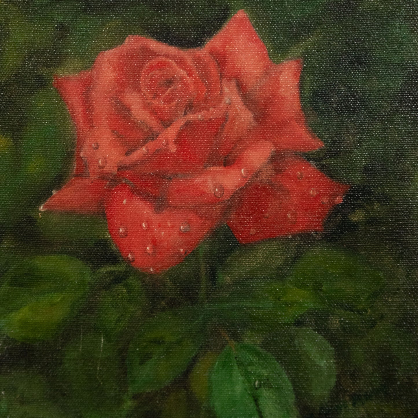 “Dewy Red” Vintage Red Rose Oil Painting with Water Droplets, Original Frame