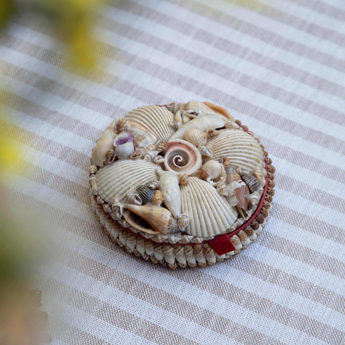 Vintage Seashell Trinket Box