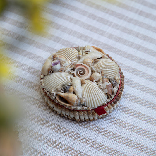 Vintage Seashell Trinket Box
