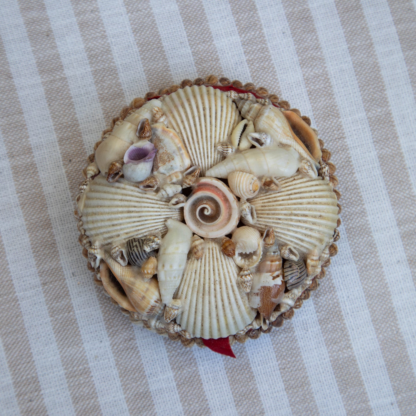 Vintage Seashell Trinket Box
