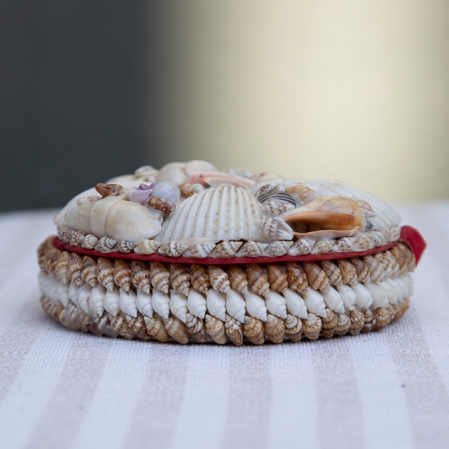 Vintage Seashell Trinket Box