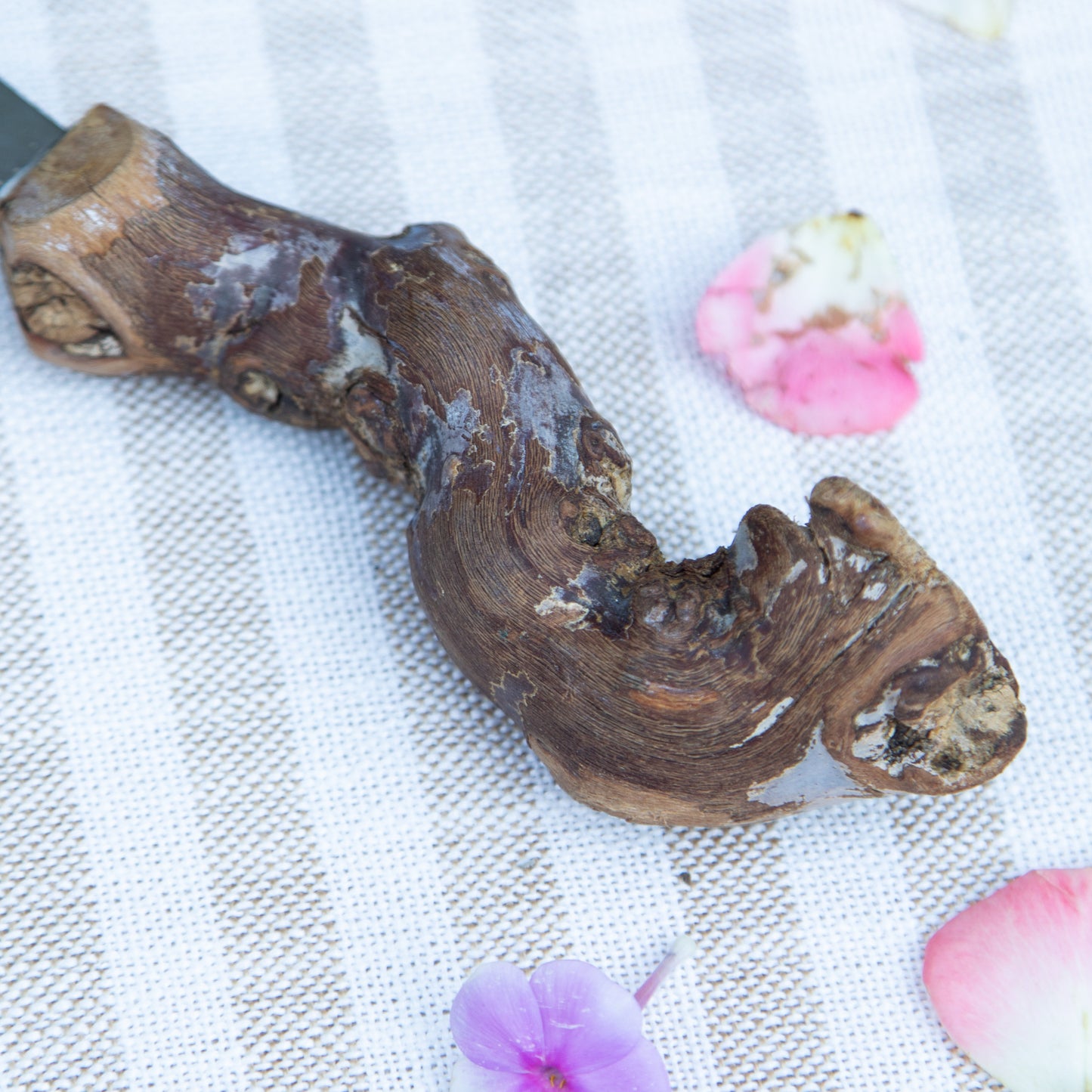 Grapevine Cheese Knife