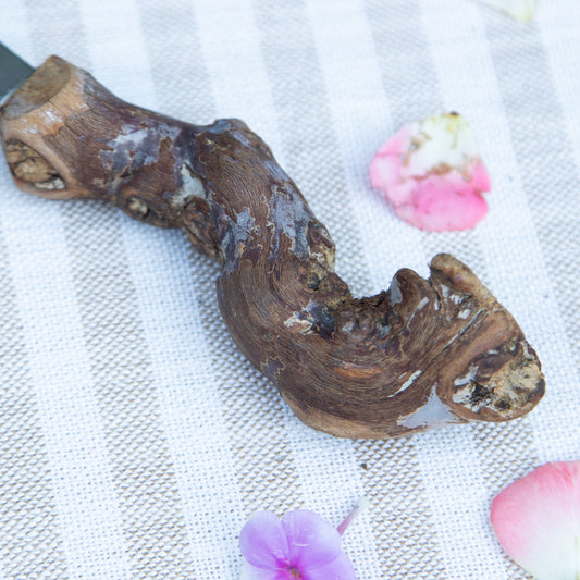 Grapevine Cheese Knife
