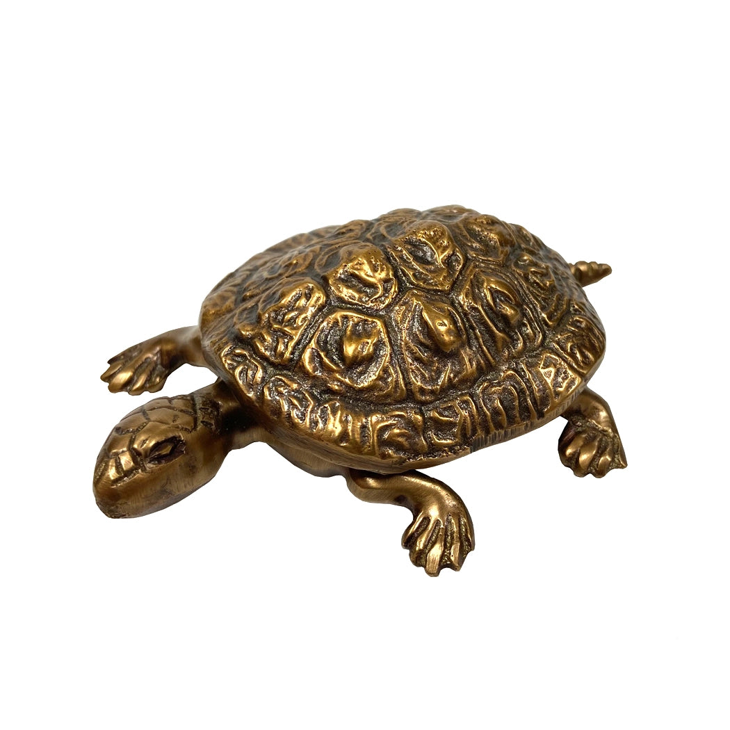 Brass Turtle Trinket Box