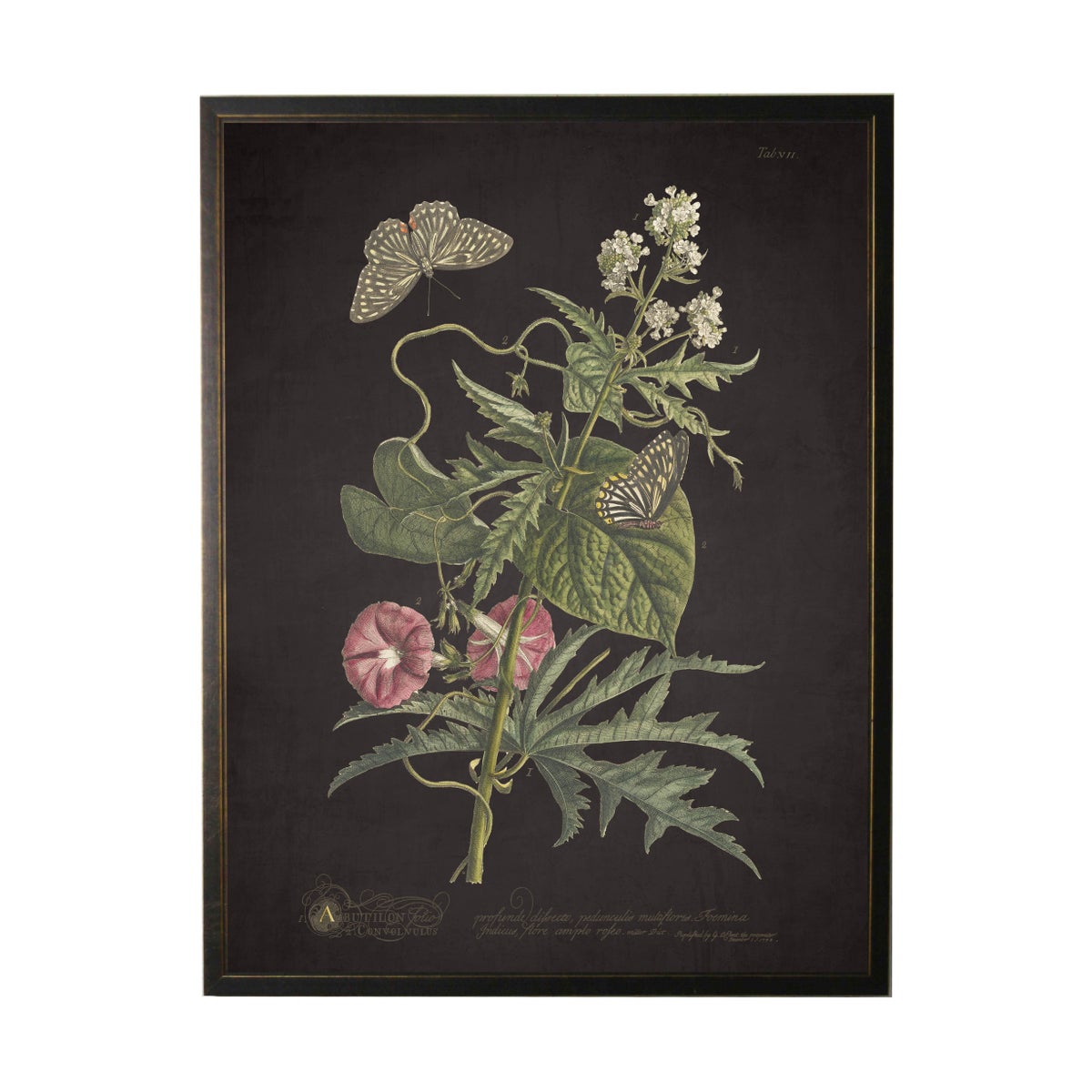 Floral and Butterfly Framed Print