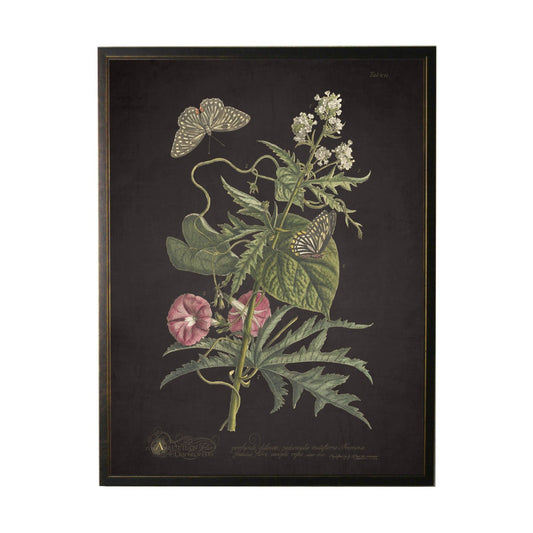 Floral and Butterfly Framed Print