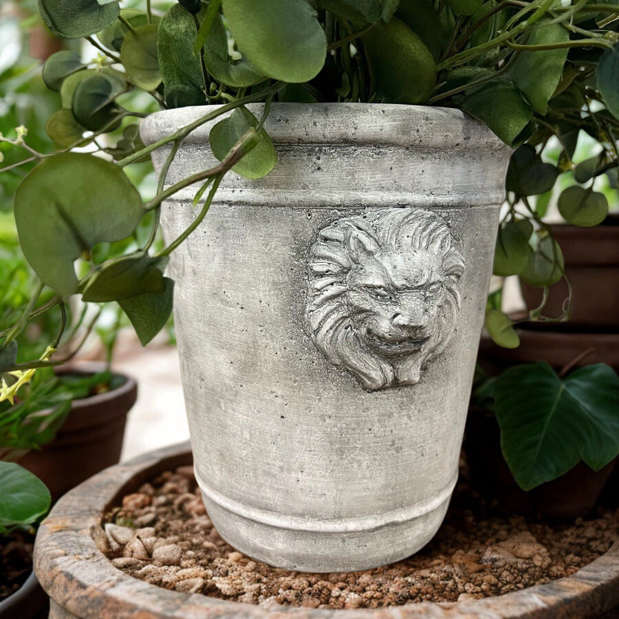 Cement Lion Planter