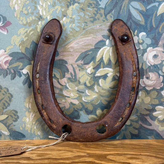 Rusted Horseshoe