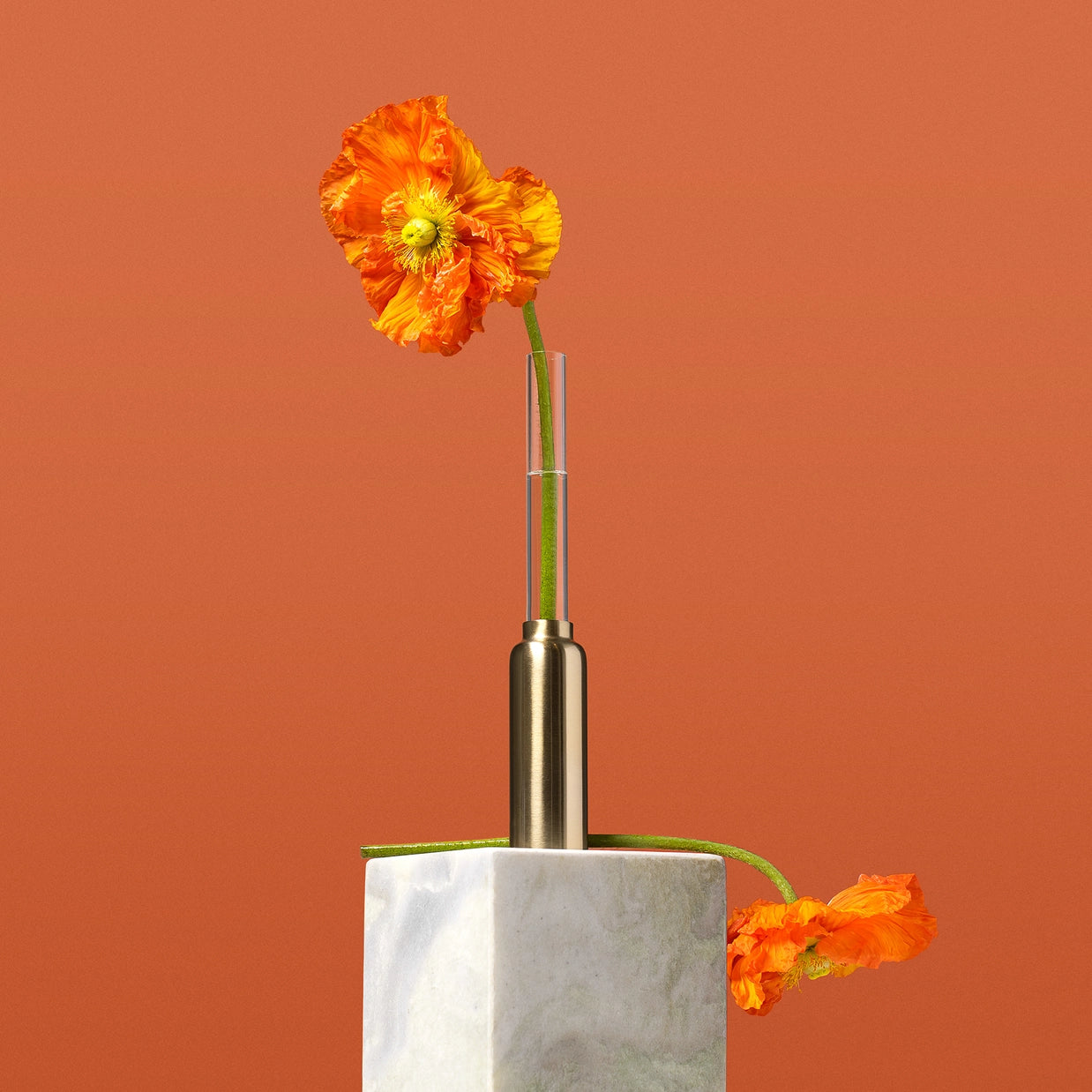 Base Vase