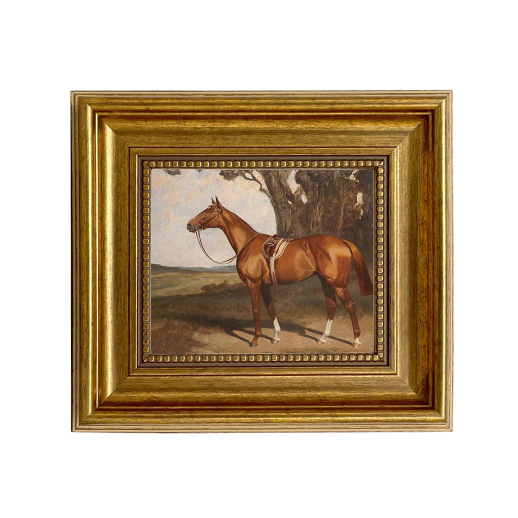 Saddled Chestnut Racehorse Framed Painting Print On Canvas