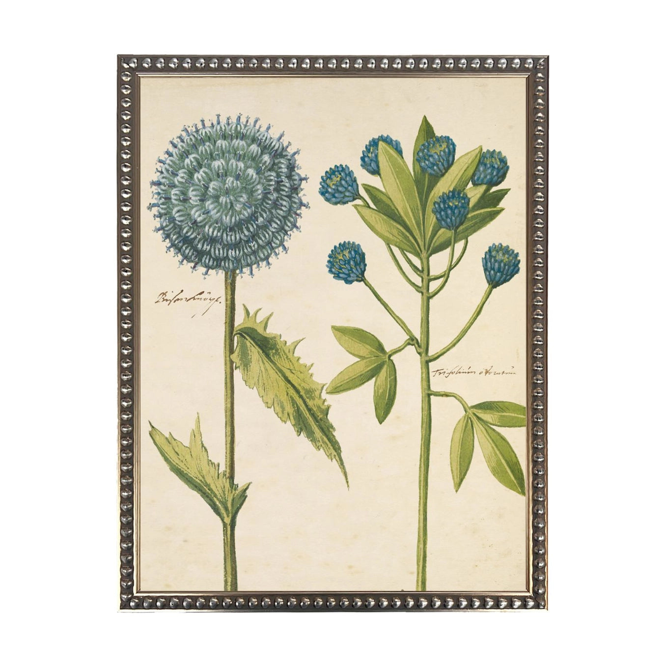 Bold Floral Bookplate Framed Print