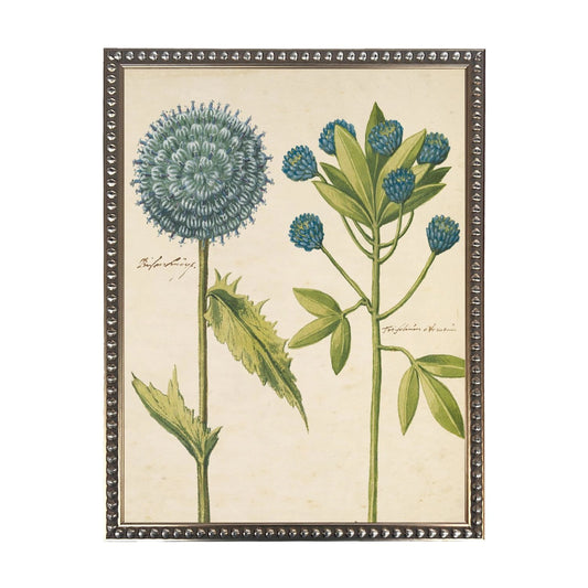 Bold Floral Bookplate Framed Print