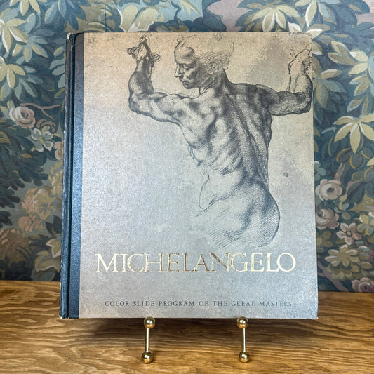 Michelangelo Color Slides Art Book