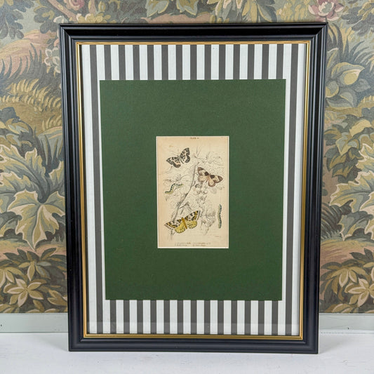 1842 Antique Framed Engraving