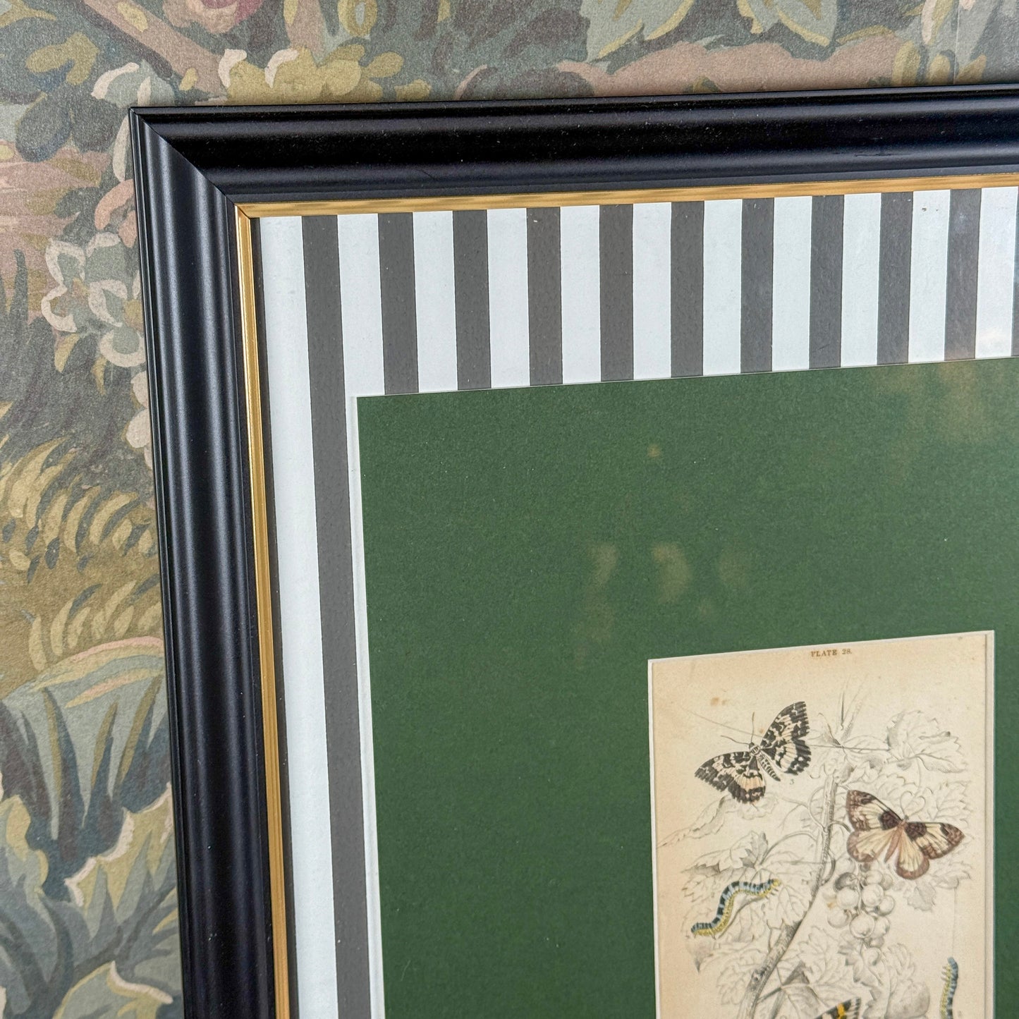 1842 Antique Framed Engraving
