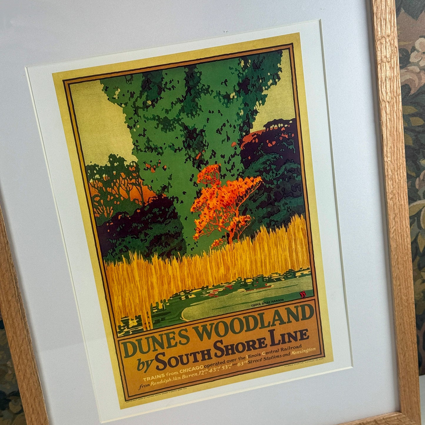 Dunes Woodland by South Shore Line Framed Print