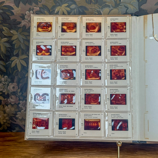 Michelangelo Color Slides Art Book