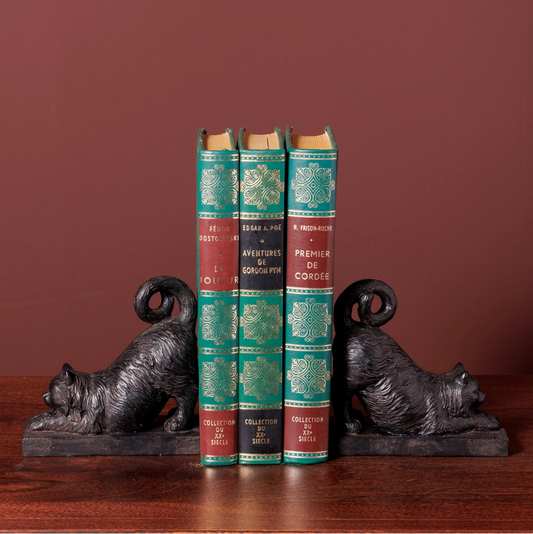Three vintage-style books with decorative spines on a wooden surface with cat-shaped bookends against a red-brown background.