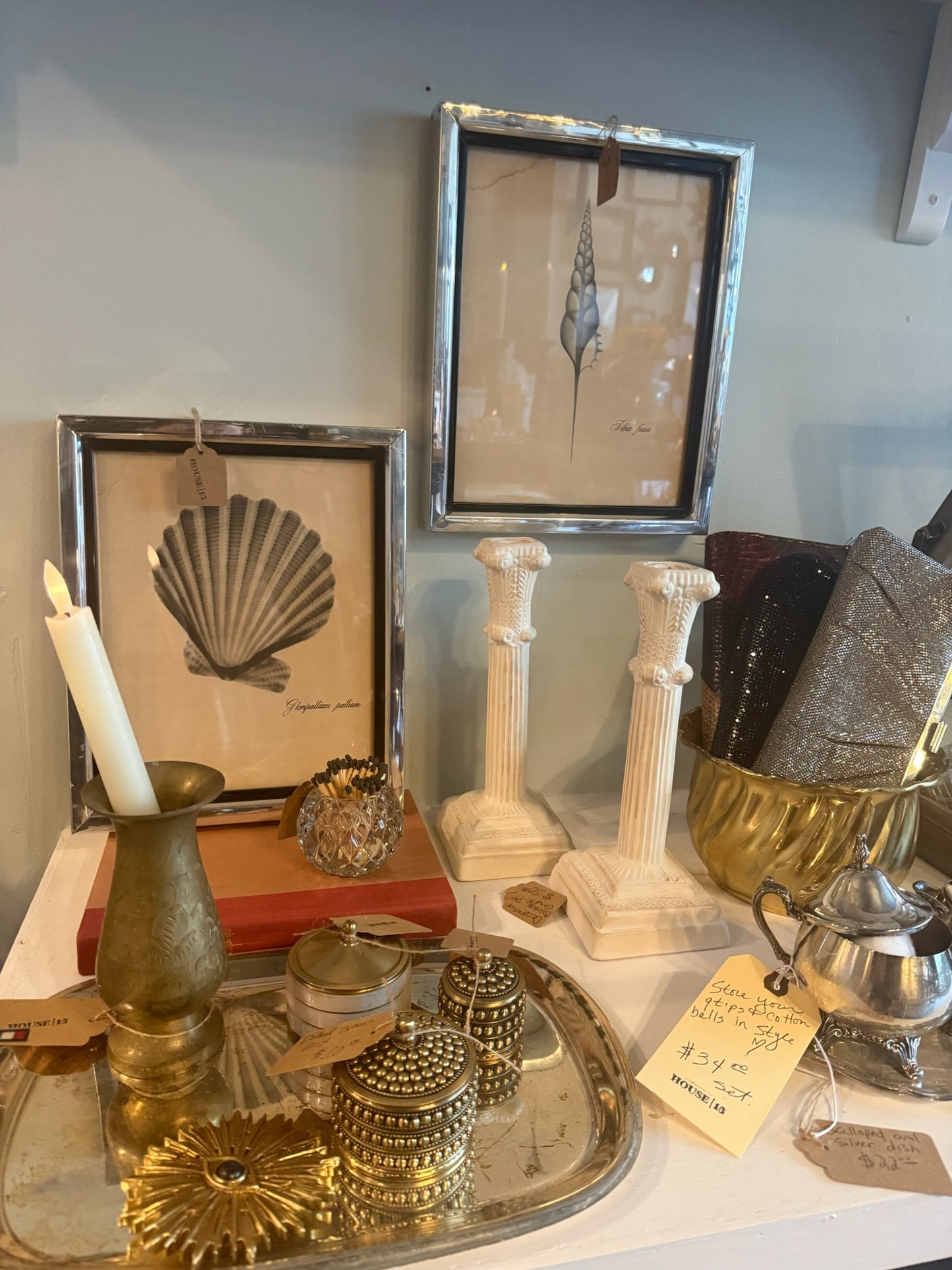 Vintage Shell Prints