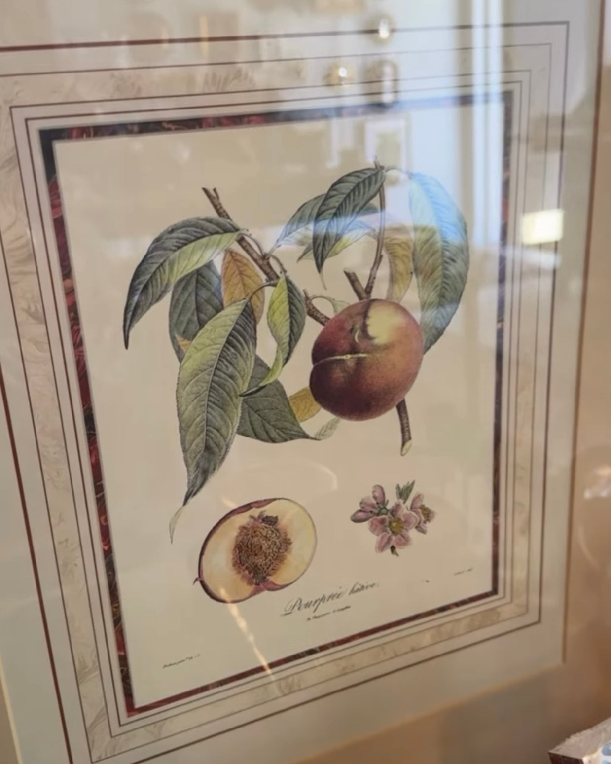 Vintage Framed Peaches