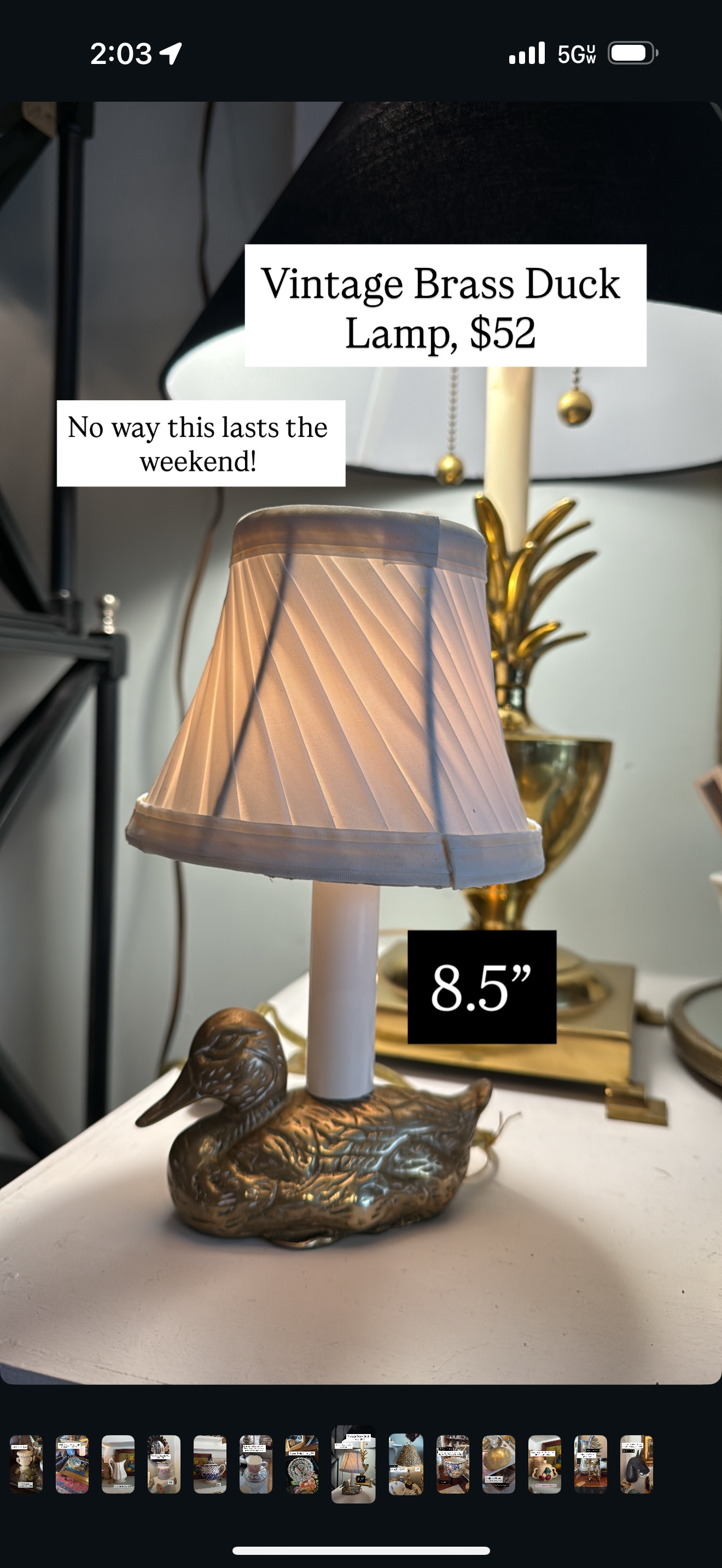 Brass Duck Lamp