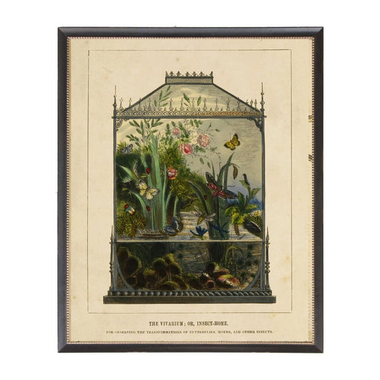 Vivarium Bookplate Framed Print