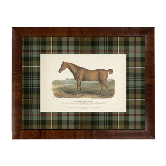 Plaid Horse No. 52 Bookplate Framed Print