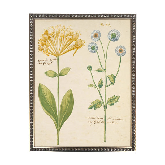 Bold Floral Bookplate Framed Print