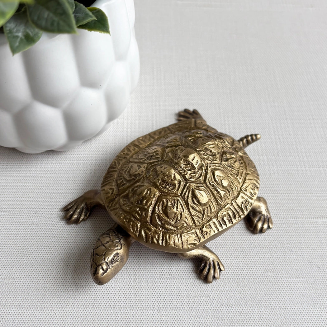 Brass Turtle Trinket Box