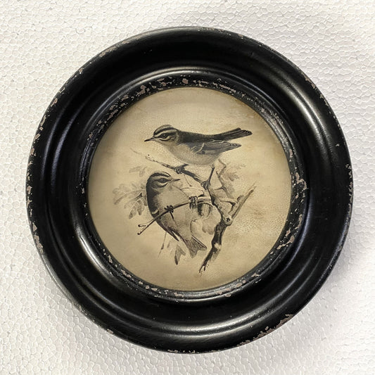 Round Frame with Great Tits