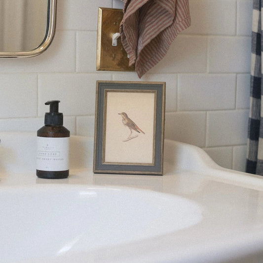 "Antique Bird Art" Framed Reproduction